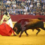 Zaragoza. Domingo 14 de octubre de 2018.