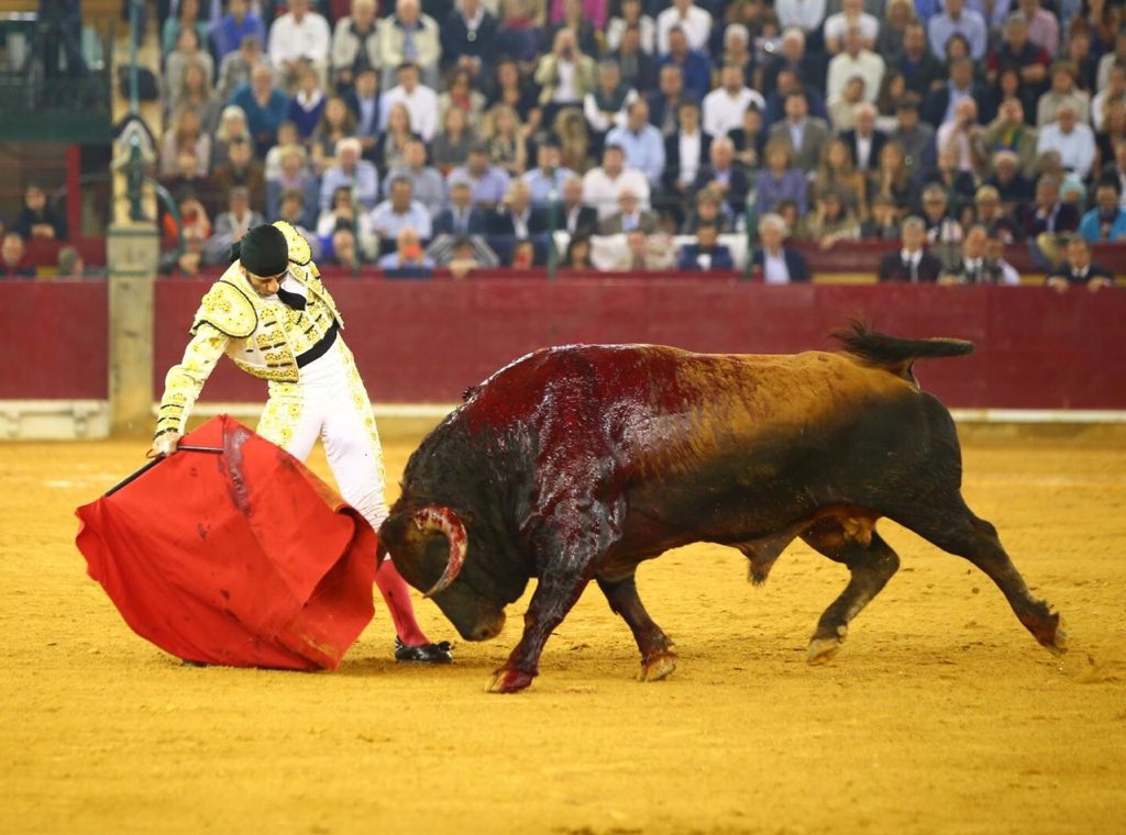 Zaragoza. Domingo 14 de octubre de 2018.