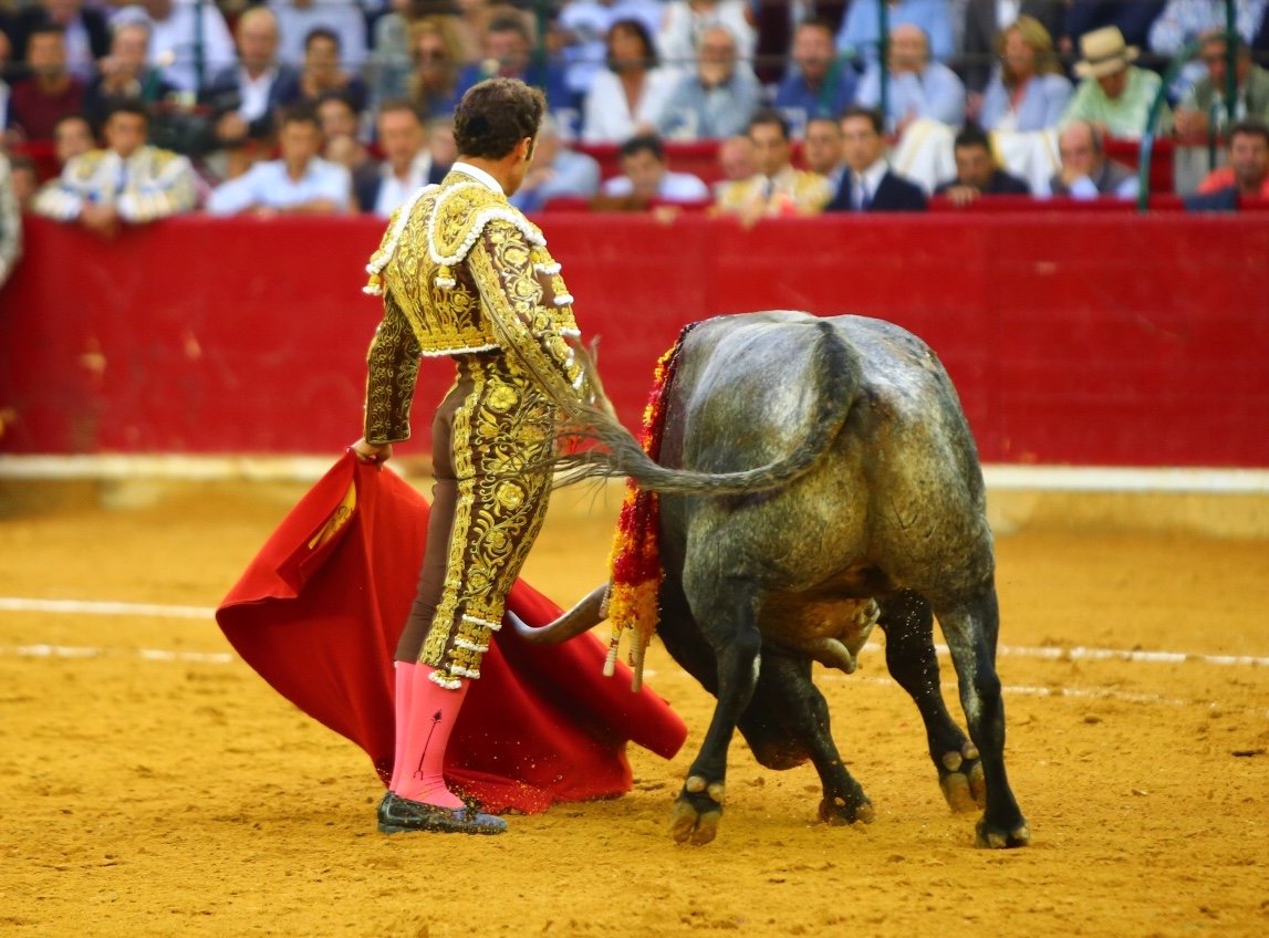 Zaragoza. Jueves 11 de octubre de 2018.