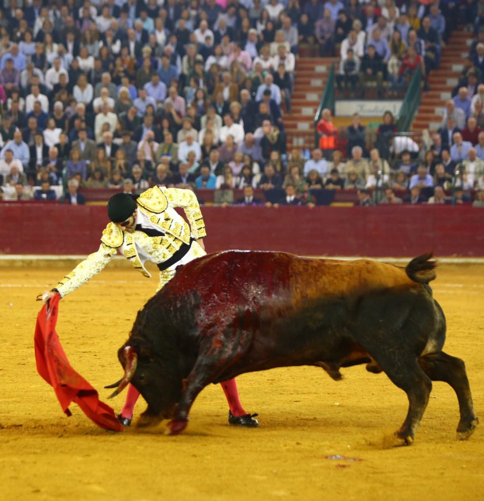 Zaragoza. Domingo 14 de octubre de 2018.
