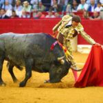 Zaragoza. Jueves 11 de octubre de 2018.