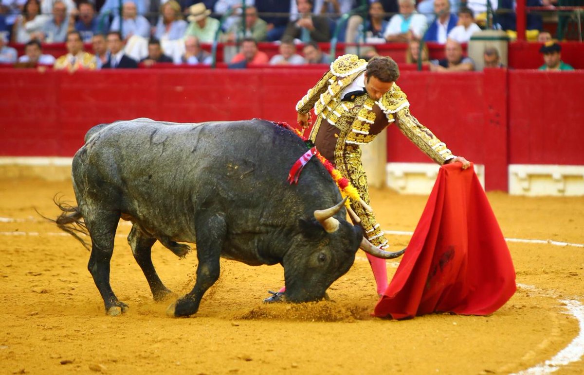 Zaragoza. Jueves 11 de octubre de 2018.
