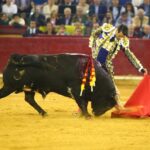 Zaragoza. Domingo 14 de octubre de 2018.