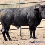 PLANETARIO Nº 70 • G 2014