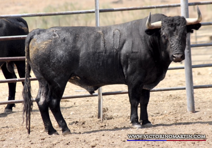 PLANETARIO Nº 70 • G 2014