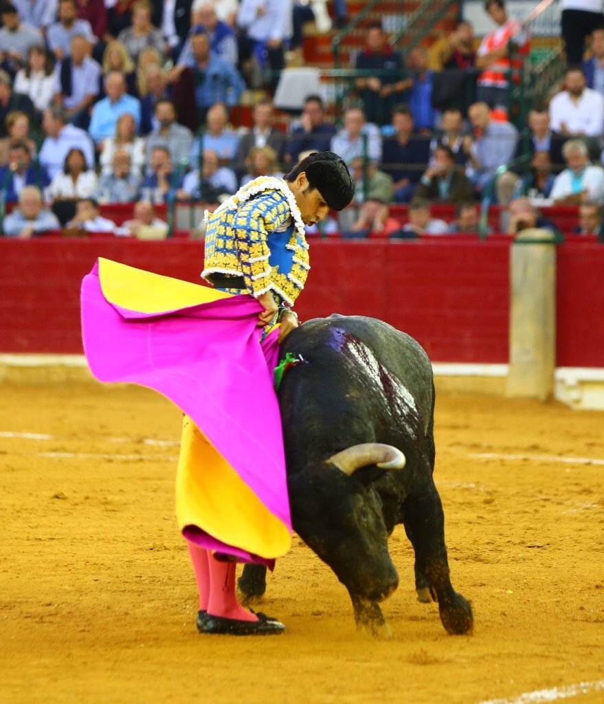 Zaragoza. Jueves 11 de octubre de 2018.