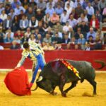 Zaragoza. Jueves 11 de octubre de 2018.