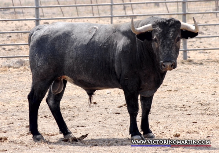 MILHEBRAS Nº 92 • G 2014