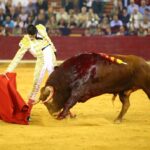Zaragoza. Domingo 14 de octubre de 2018.