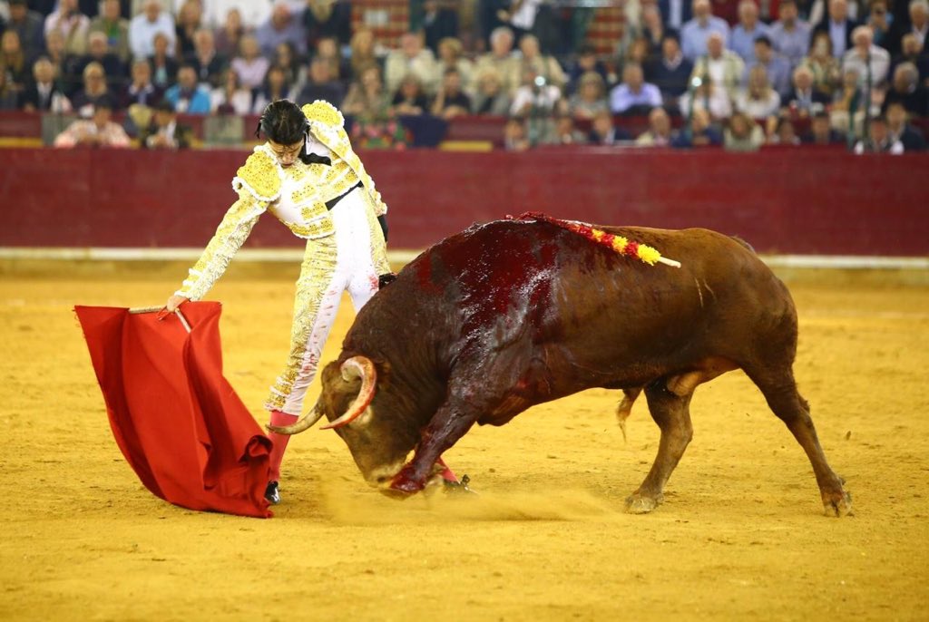 Zaragoza. Domingo 14 de octubre de 2018.