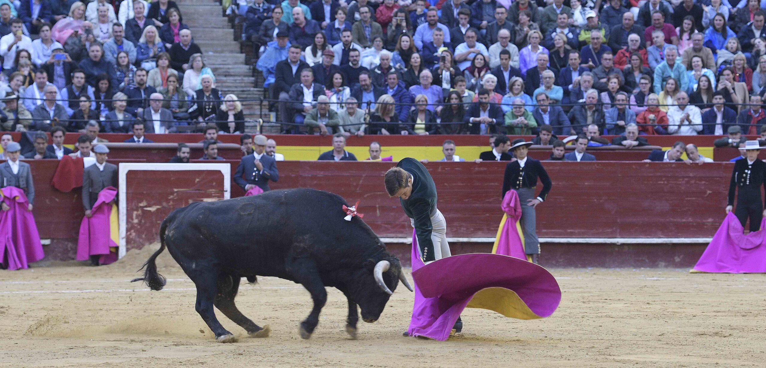 Valencia, martes 9 de octubre de 2018. Festividad de la Comunidad Valenciana. Festival del Día de la Tauromaquia