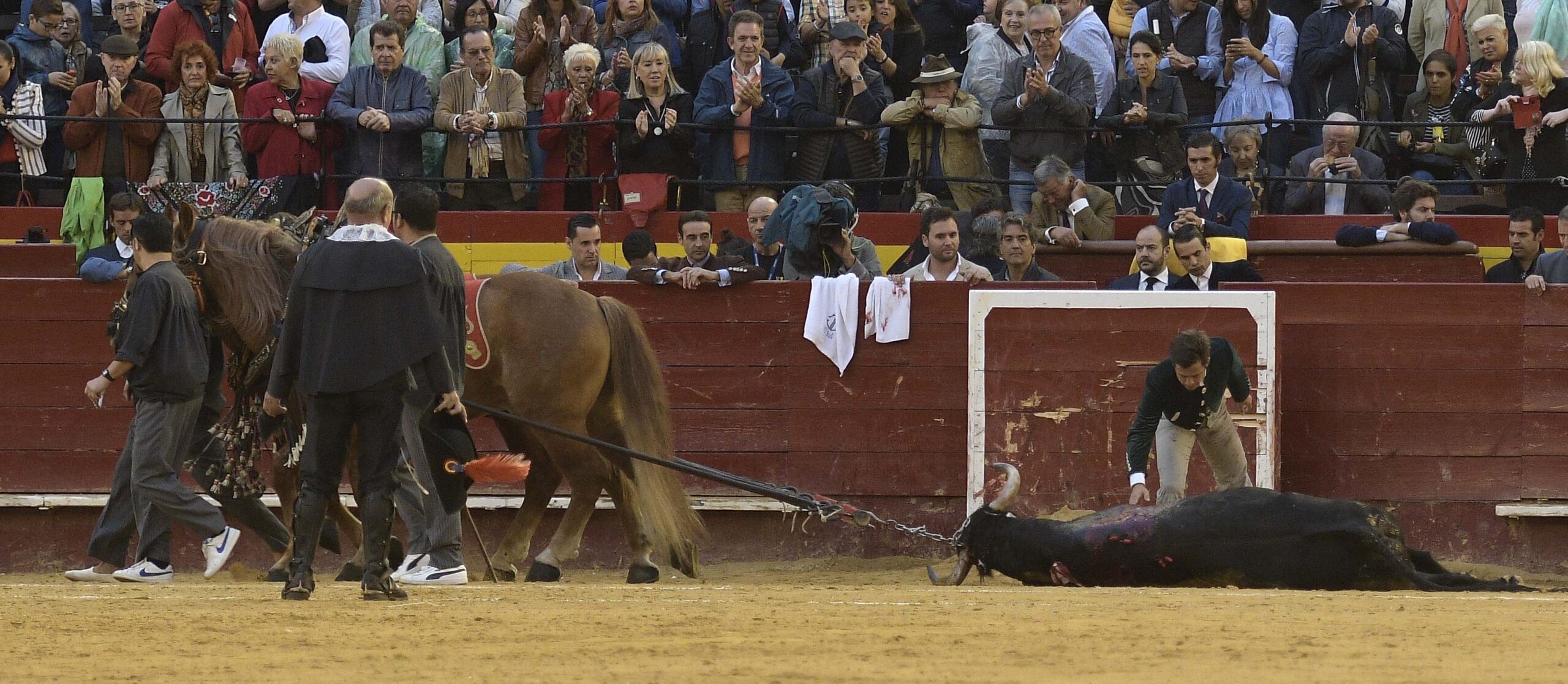 Valencia, martes 9 de octubre de 2018. Festividad de la Comunidad Valenciana. Festival del Día de la Tauromaquia