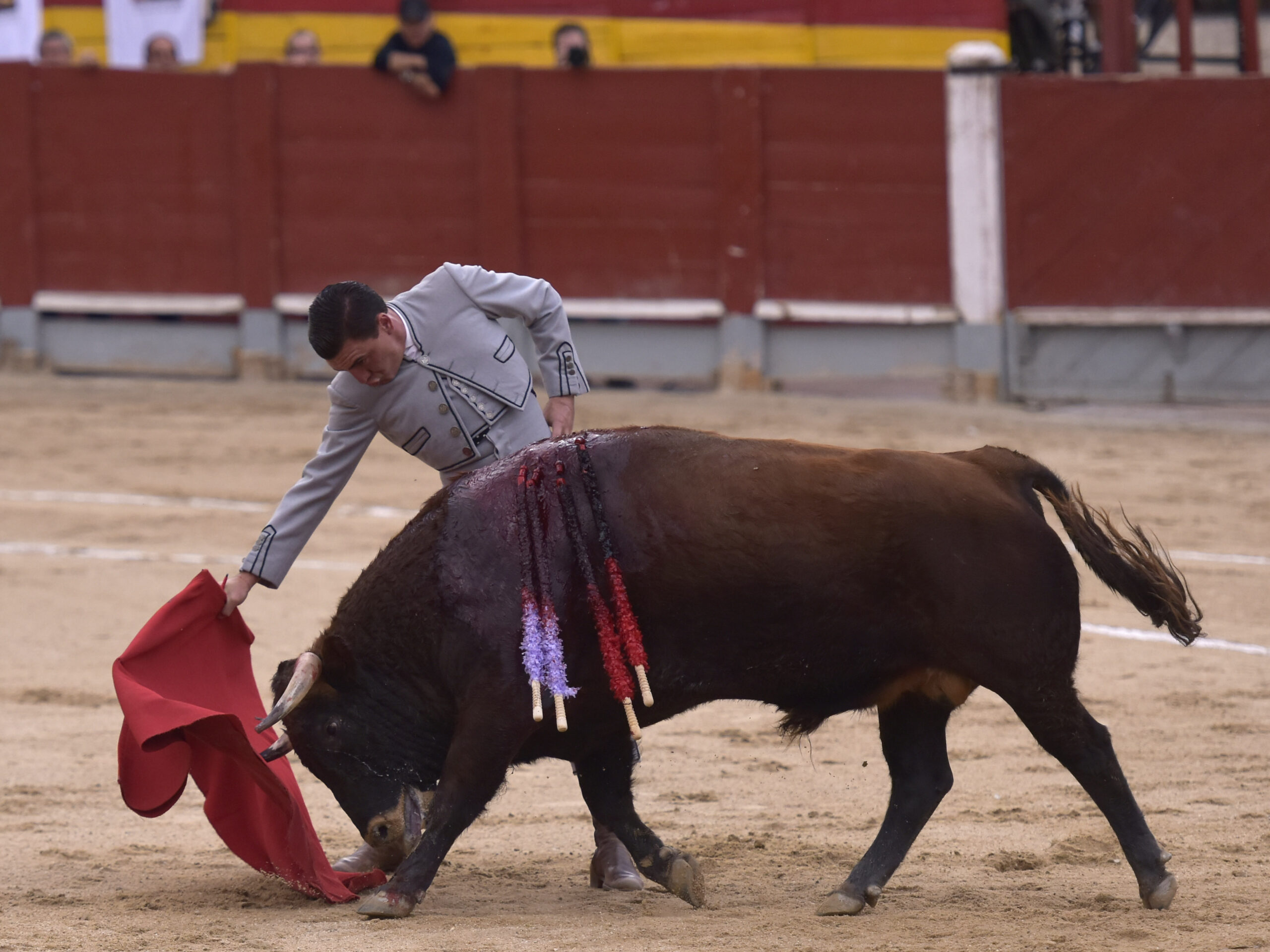Chinchón (Madrid) - Festival - Sábado 20 de octubre de 2018