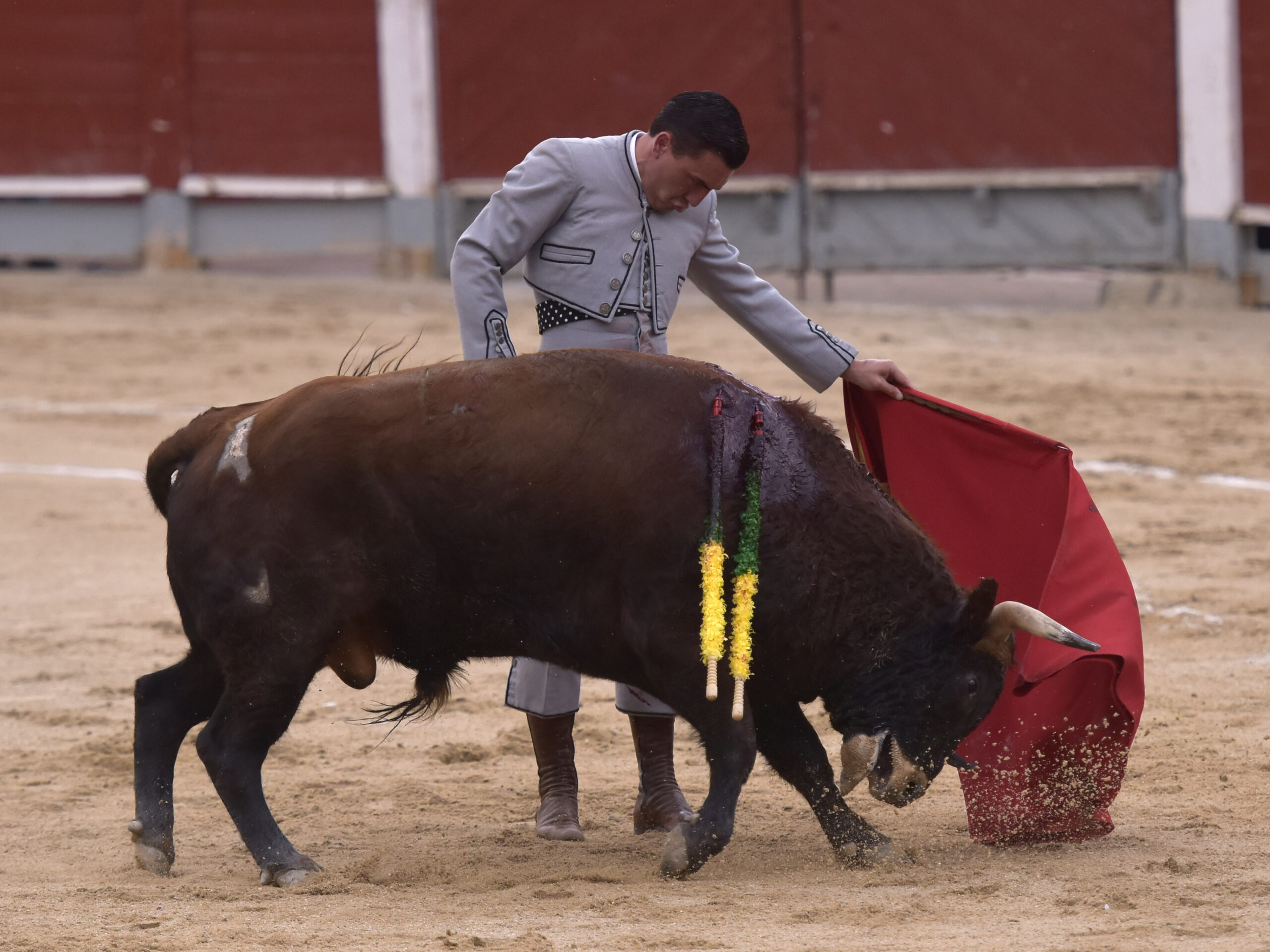 Chinchón (Madrid) - Festival - Sábado 20 de octubre de 2018