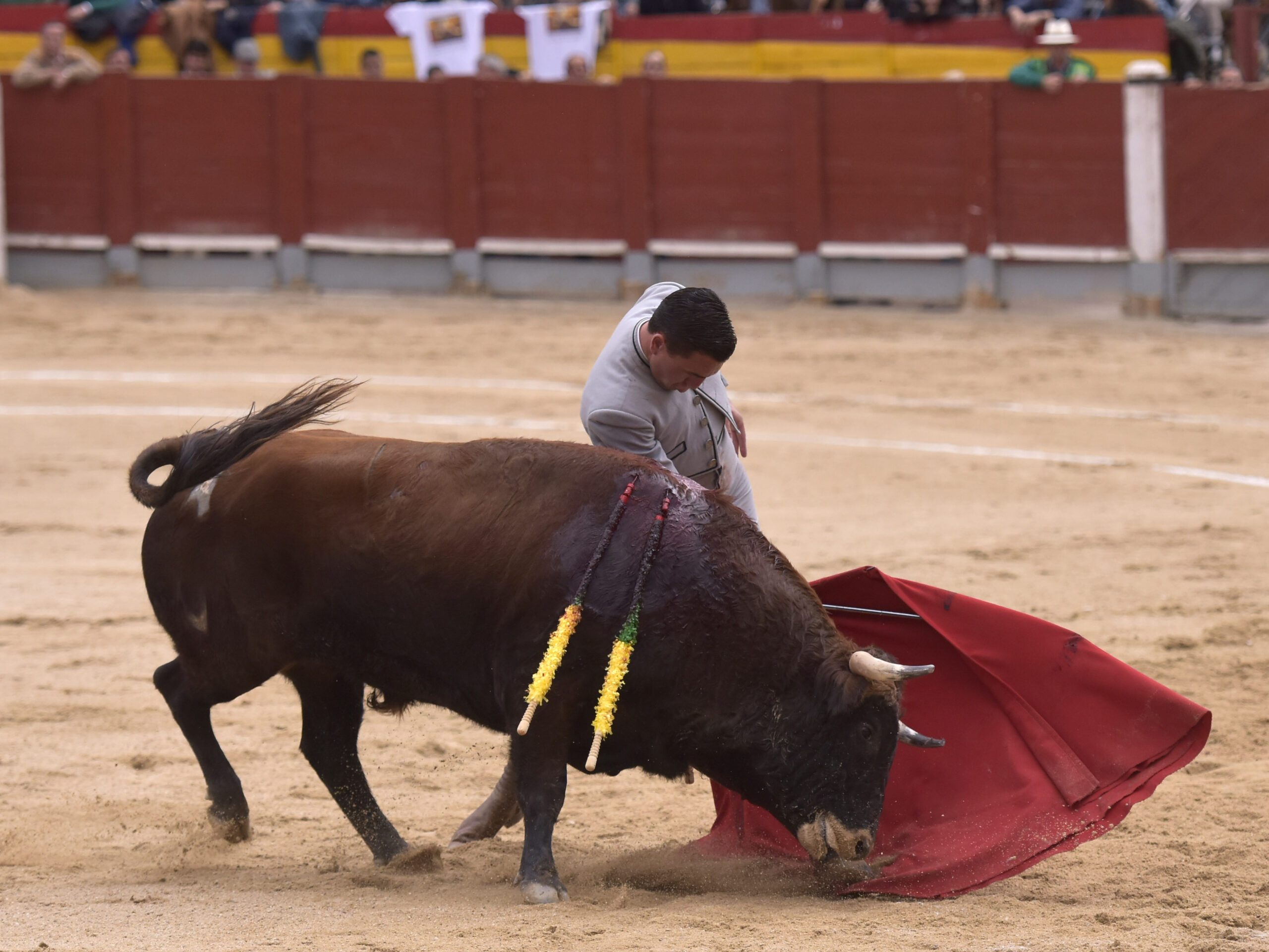 Chinchón (Madrid) - Festival - Sábado 20 de octubre de 2018