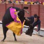 Chinchón (Madrid) - Festival - Sábado 20 de octubre de 2018