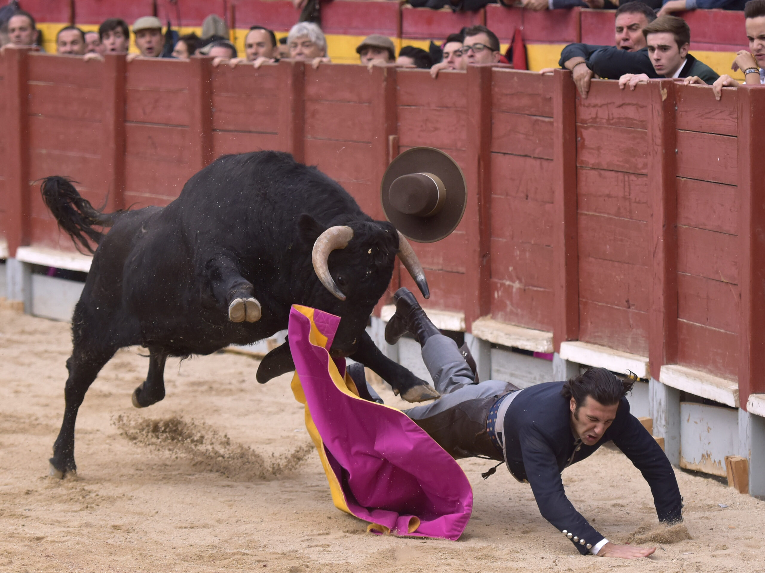 Chinchón (Madrid) - Festival - Sábado 20 de octubre de 2018