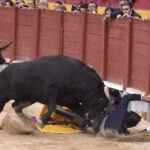 Chinchón (Madrid) - Festival - Sábado 20 de octubre de 2018