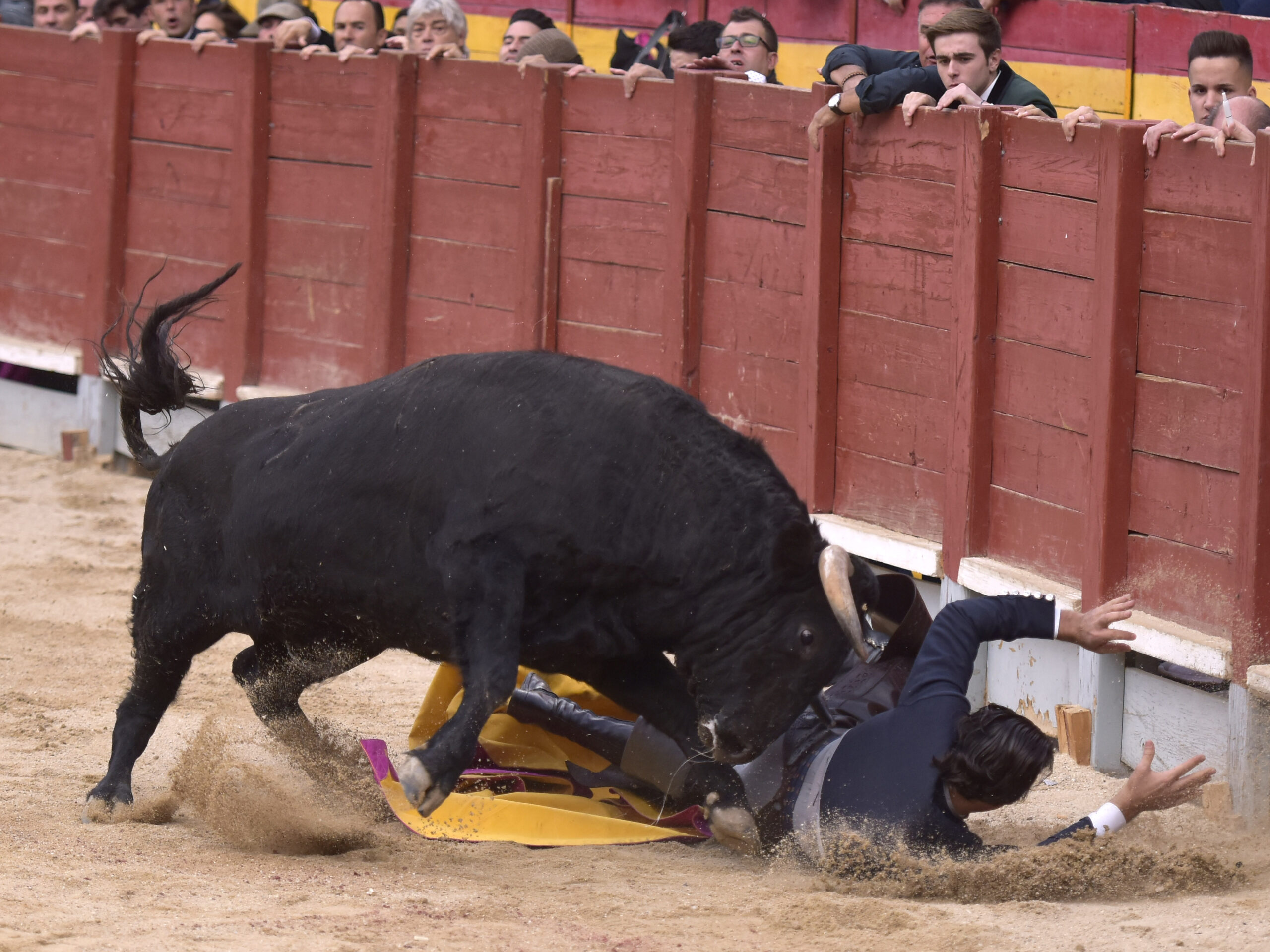 Chinchón (Madrid) - Festival - Sábado 20 de octubre de 2018