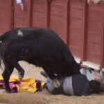 Chinchón (Madrid) - Festival - Sábado 20 de octubre de 2018