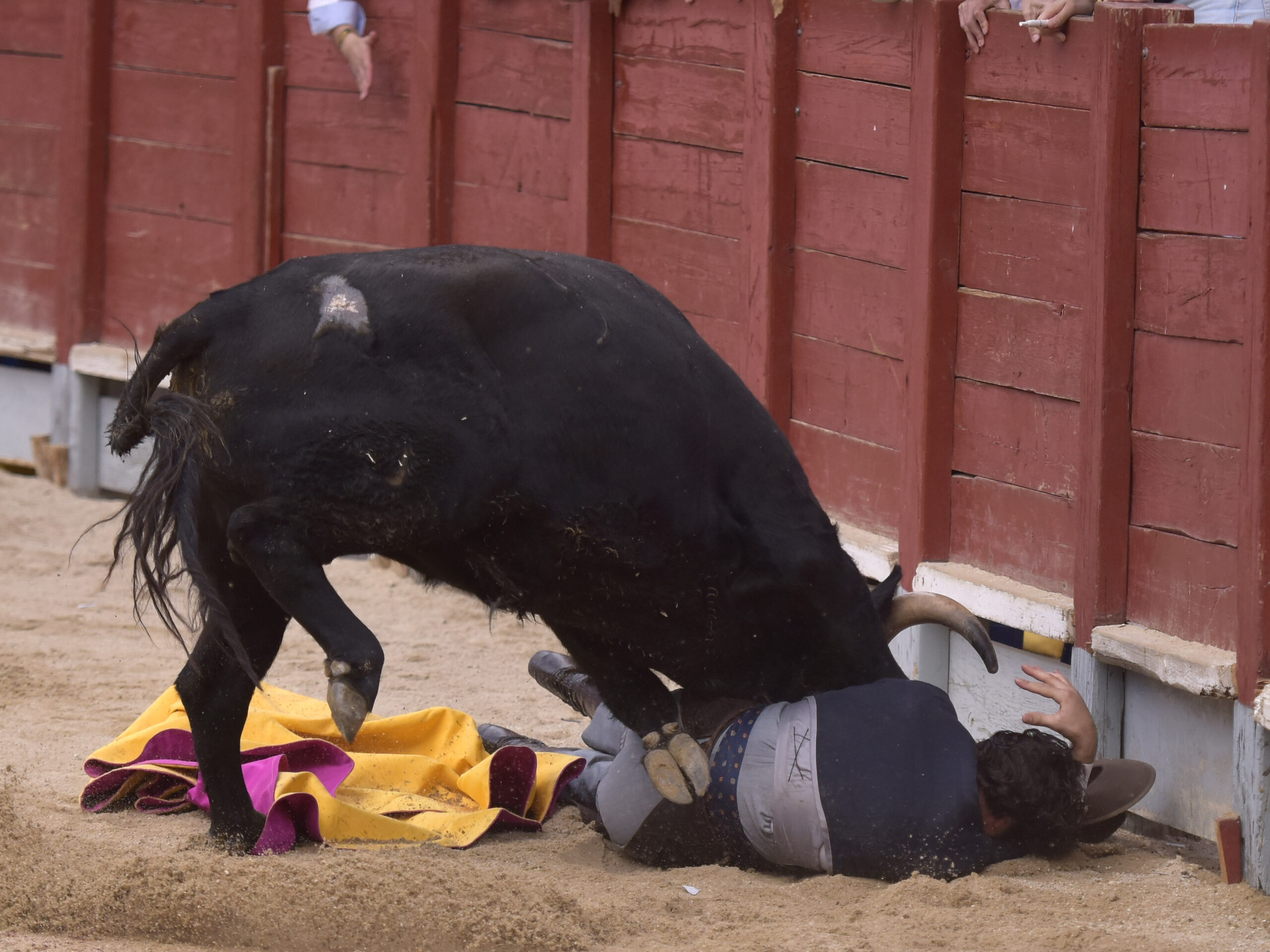 Chinchón (Madrid) - Festival - Sábado 20 de octubre de 2018