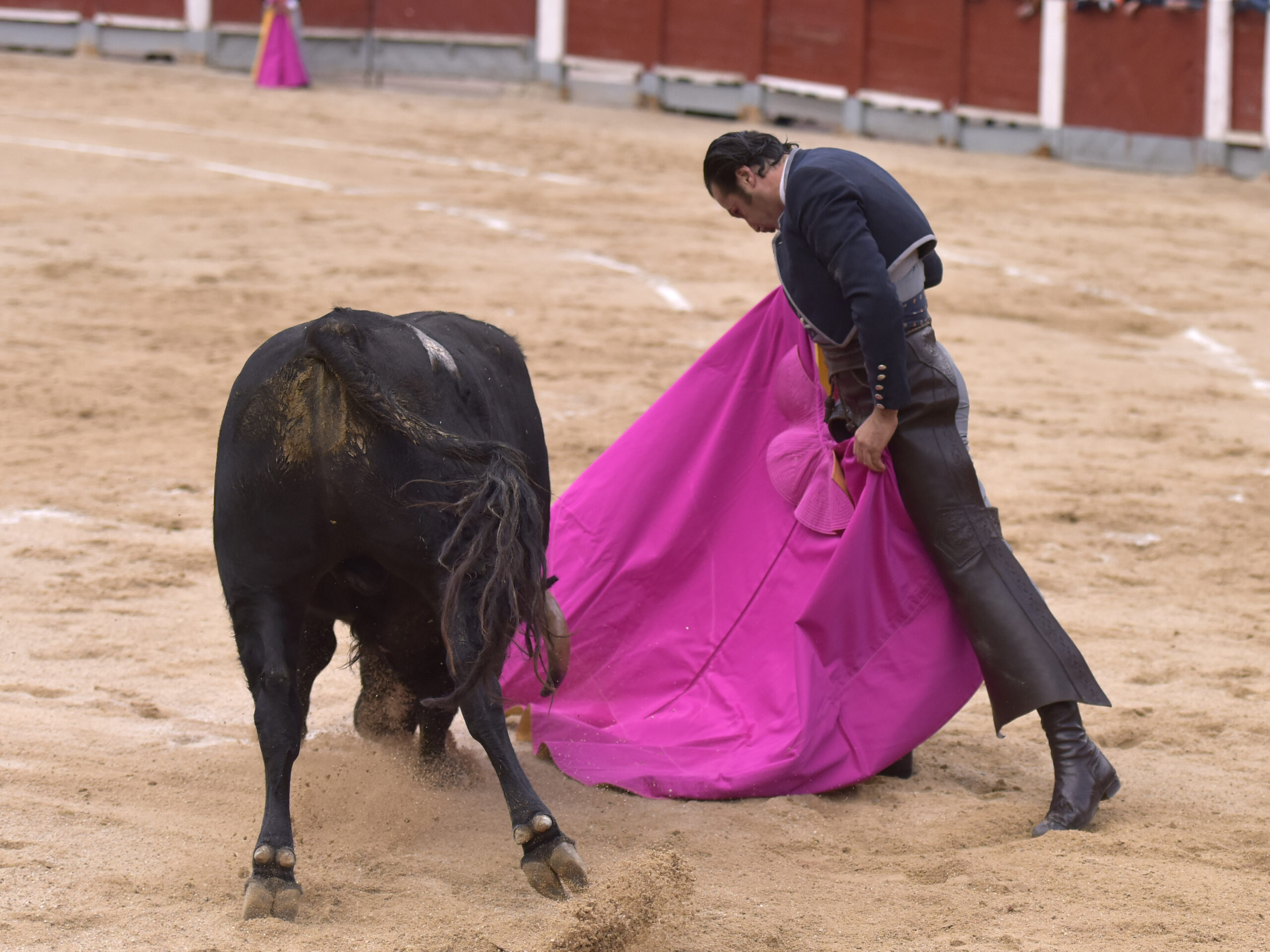 Chinchón (Madrid) - Festival - Sábado 20 de octubre de 2018