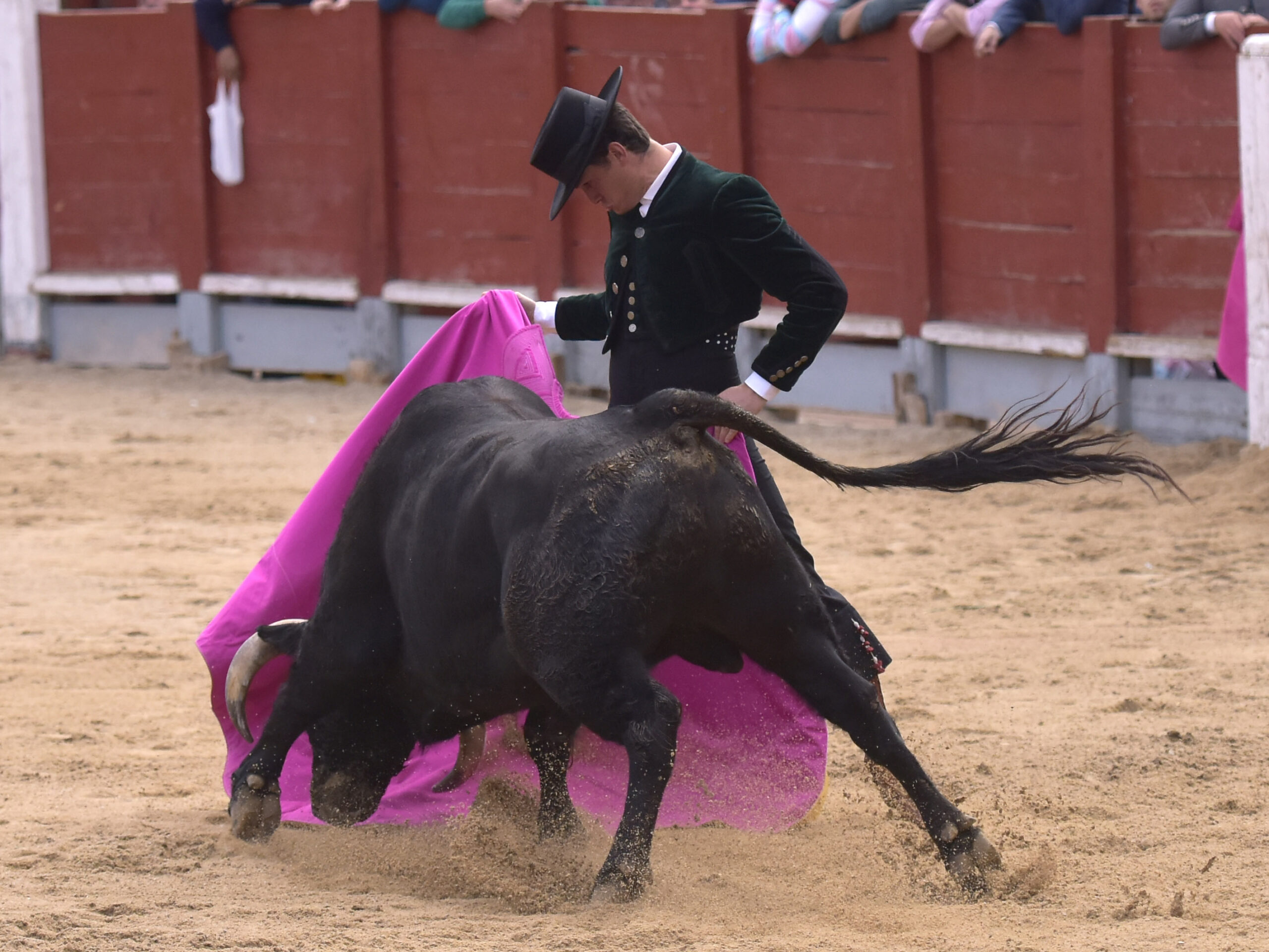 Chinchón (Madrid) - Festival - Sábado 20 de octubre de 2018