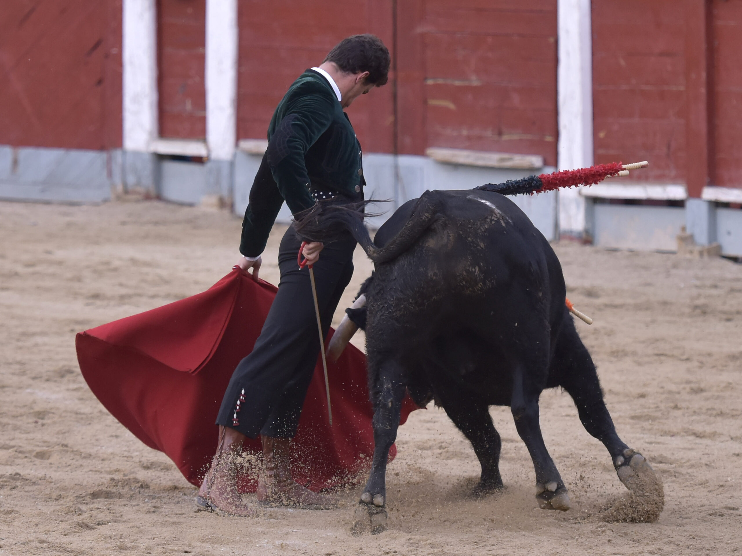 Chinchón (Madrid) - Festival - Sábado 20 de octubre de 2018