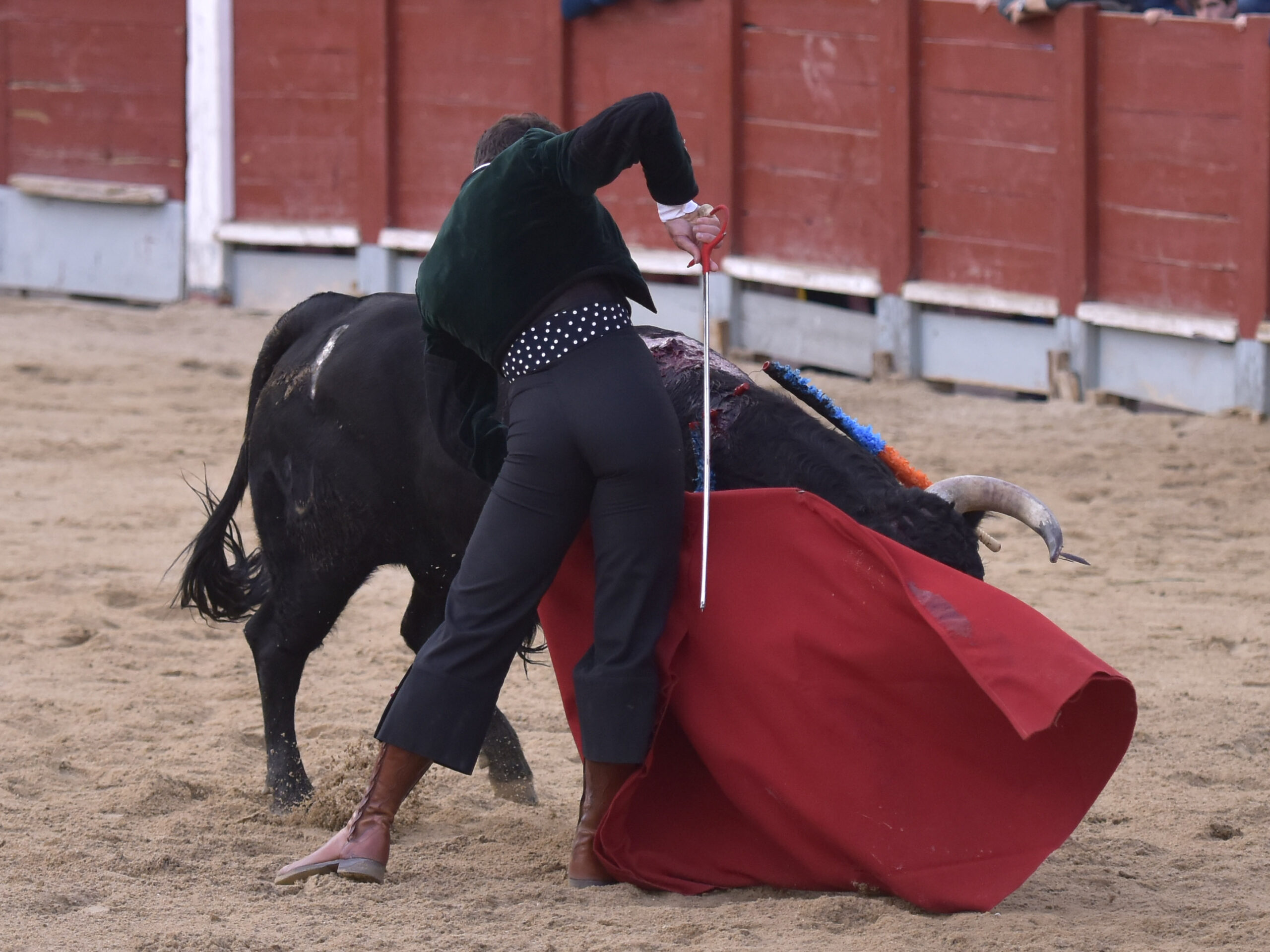 Chinchón (Madrid) - Festival - Sábado 20 de octubre de 2018