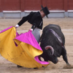 Chinchón (Madrid) - Festival - Sábado 20 de octubre de 2018