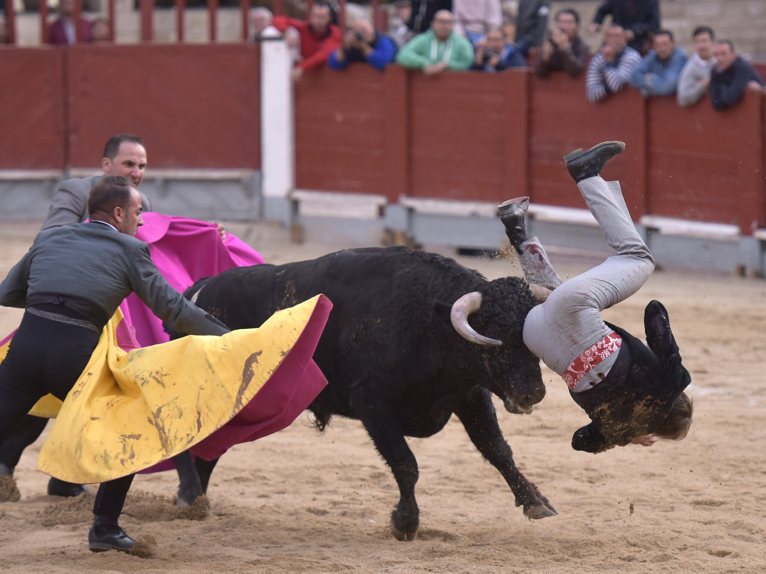 Chinchón (Madrid) - Festival - Sábado 20 de octubre de 2018