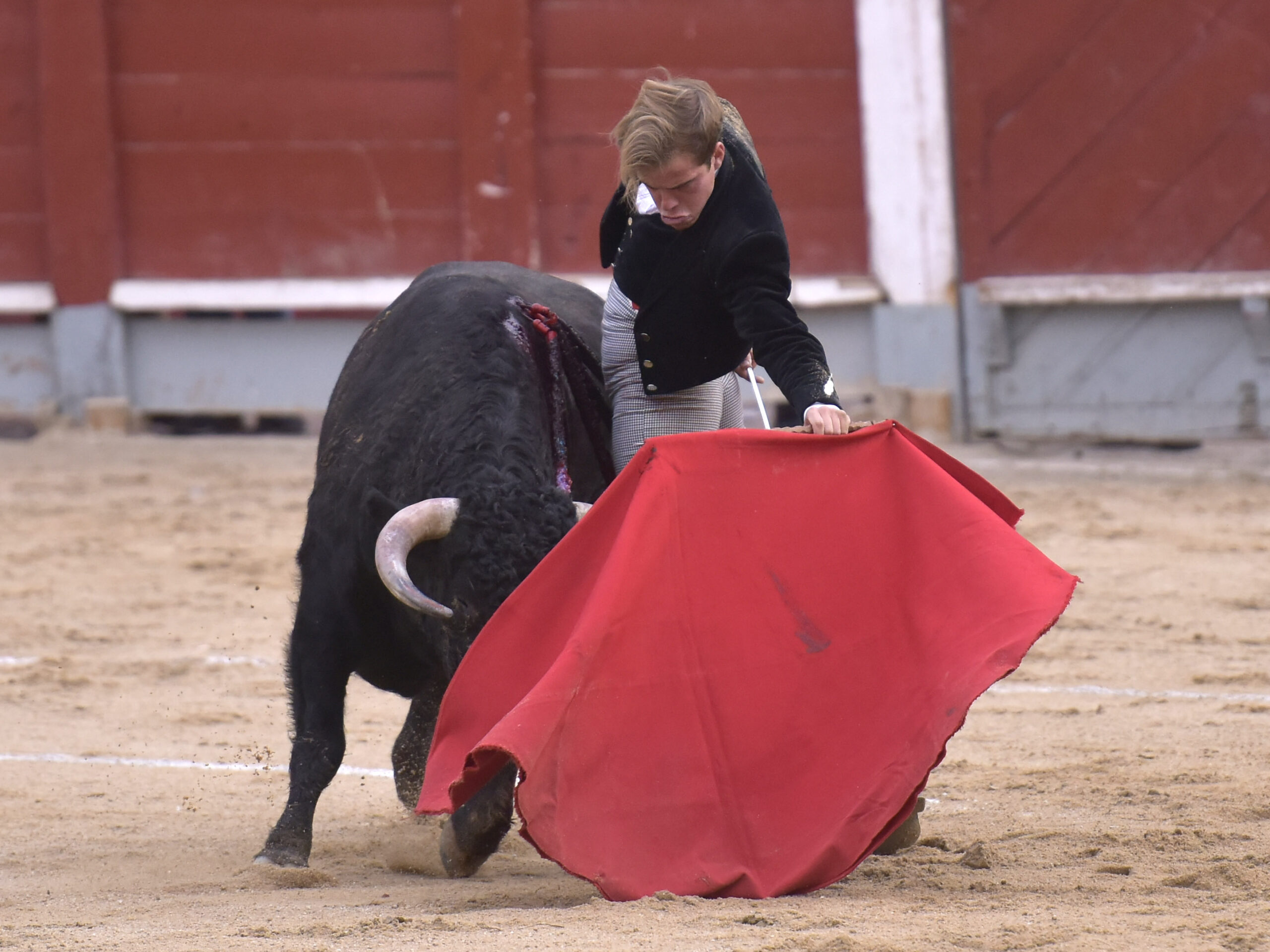 Chinchón (Madrid) - Festival - Sábado 20 de octubre de 2018