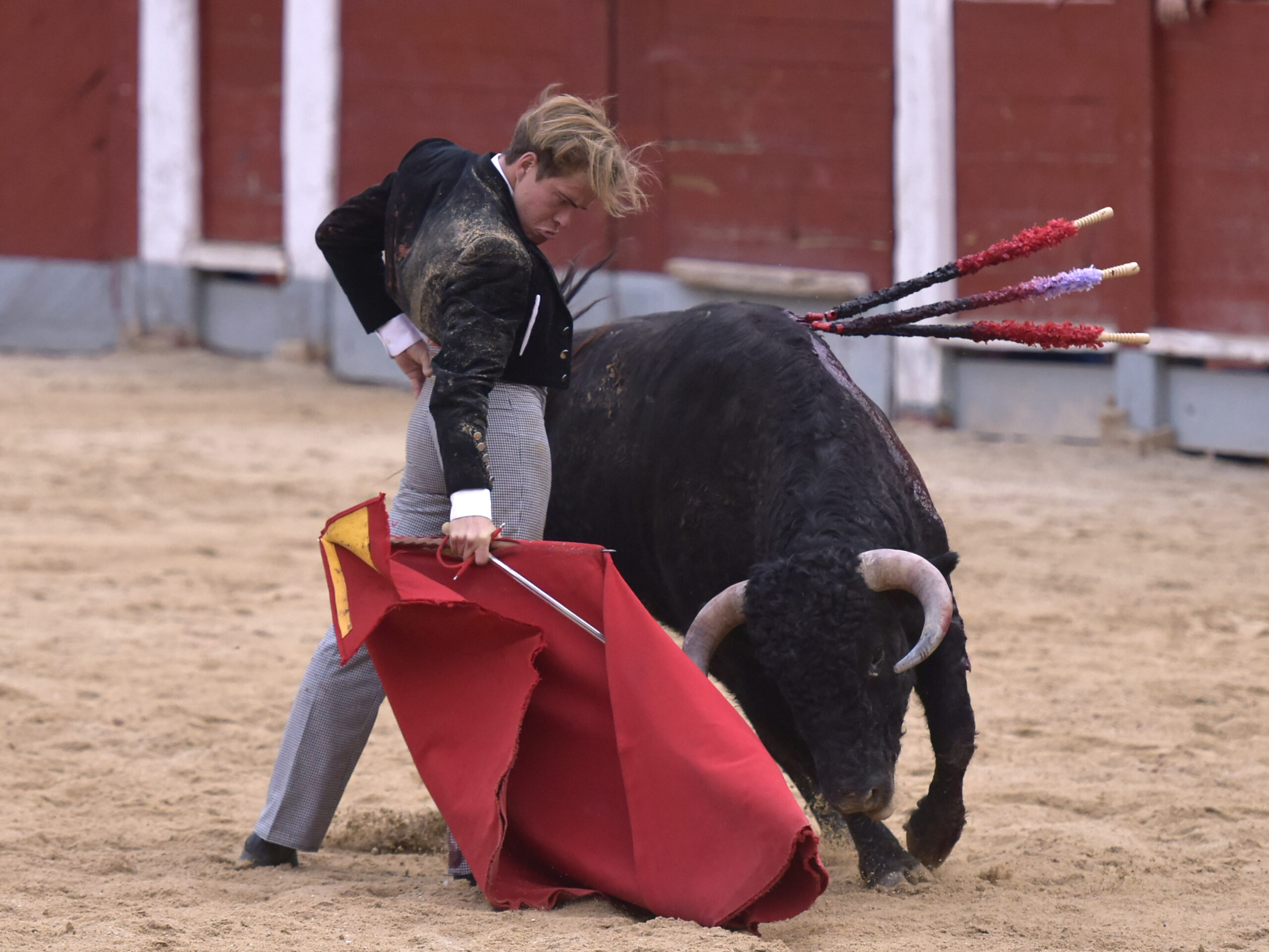 Chinchón (Madrid) - Festival - Sábado 20 de octubre de 2018
