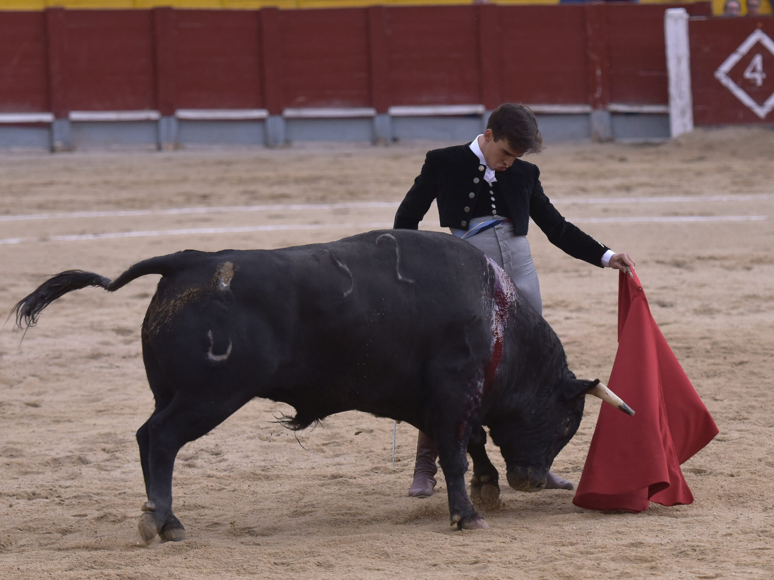 Chinchón (Madrid) - Festival - Sábado 20 de octubre de 2018