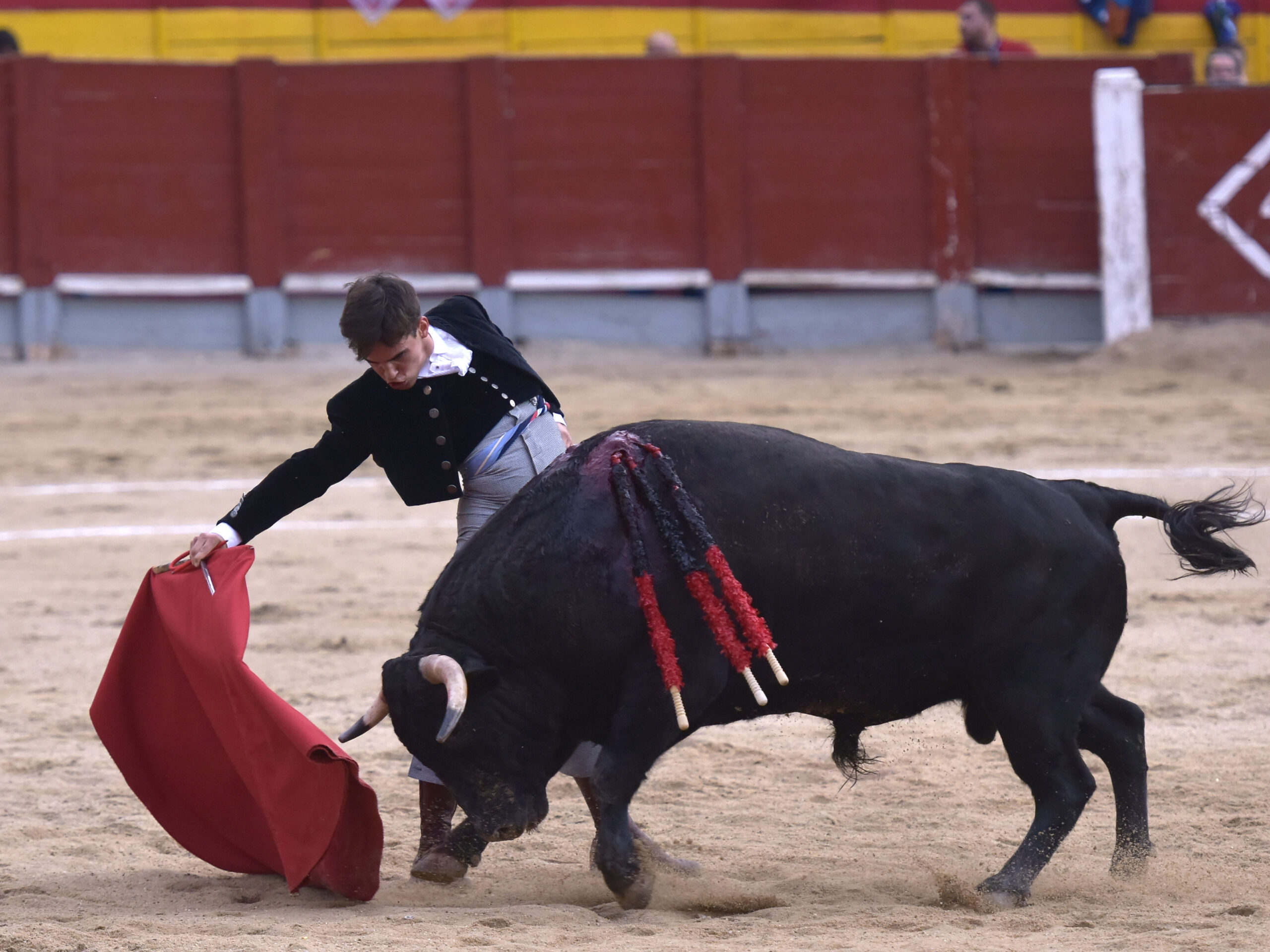 Chinchón (Madrid) - Festival - Sábado 20 de octubre de 2018
