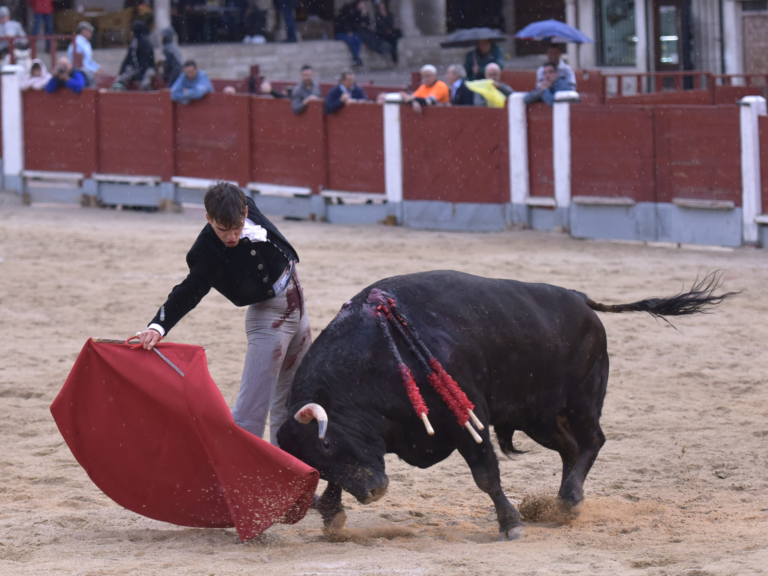 Chinchón (Madrid) - Festival - Sábado 20 de octubre de 2018