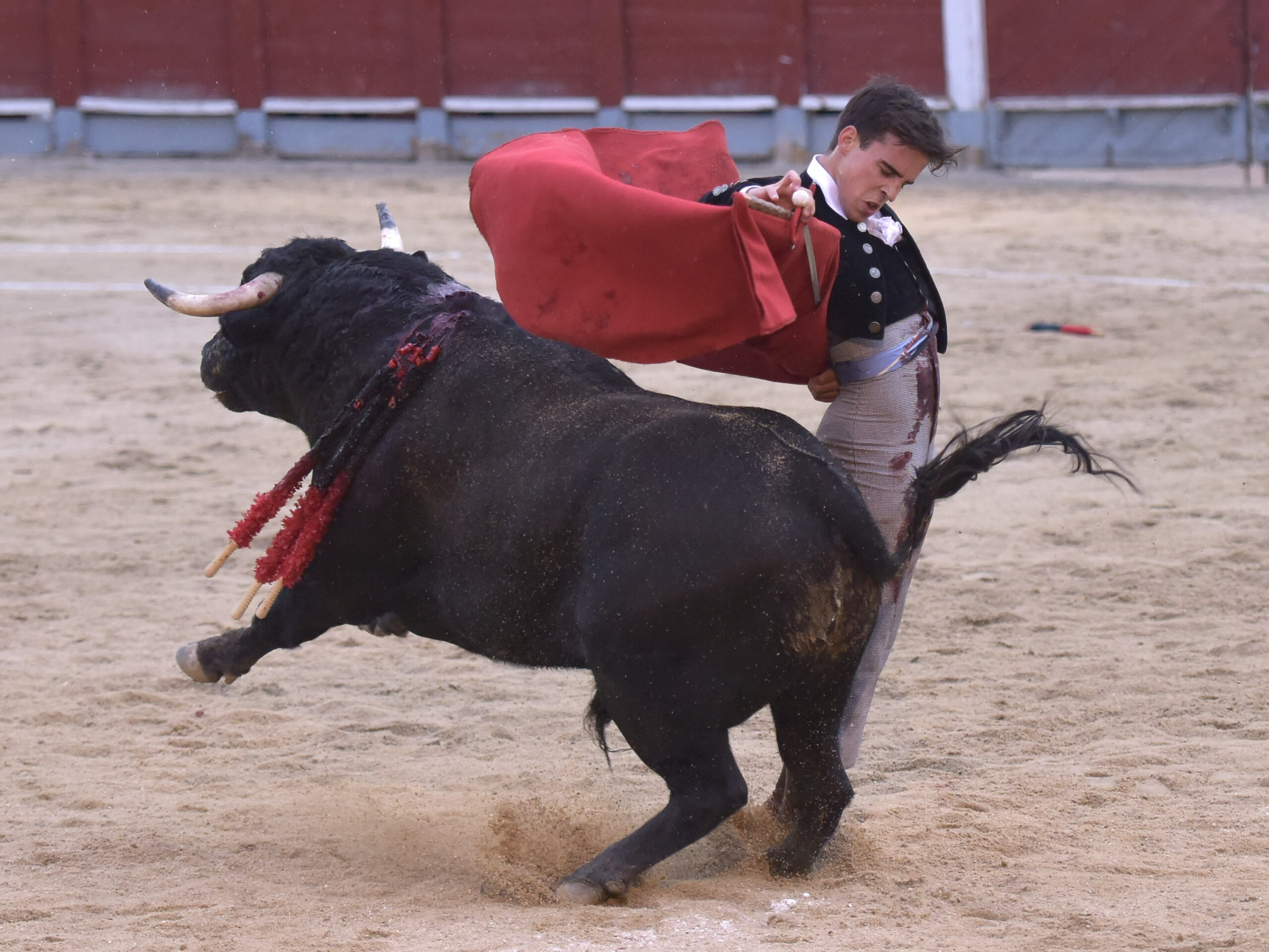 Chinchón (Madrid) - Festival - Sábado 20 de octubre de 2018