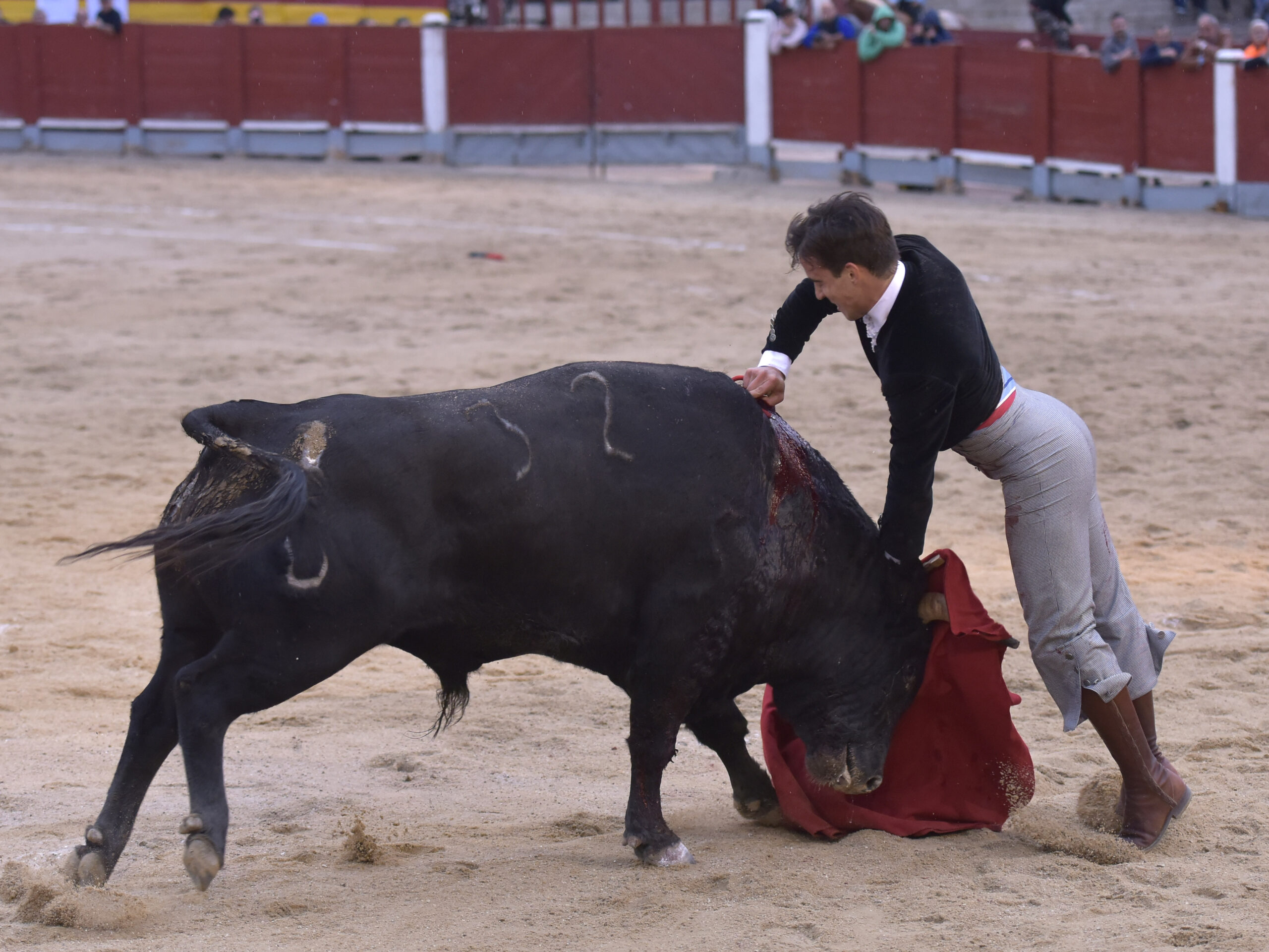Chinchón (Madrid) - Festival - Sábado 20 de octubre de 2018
