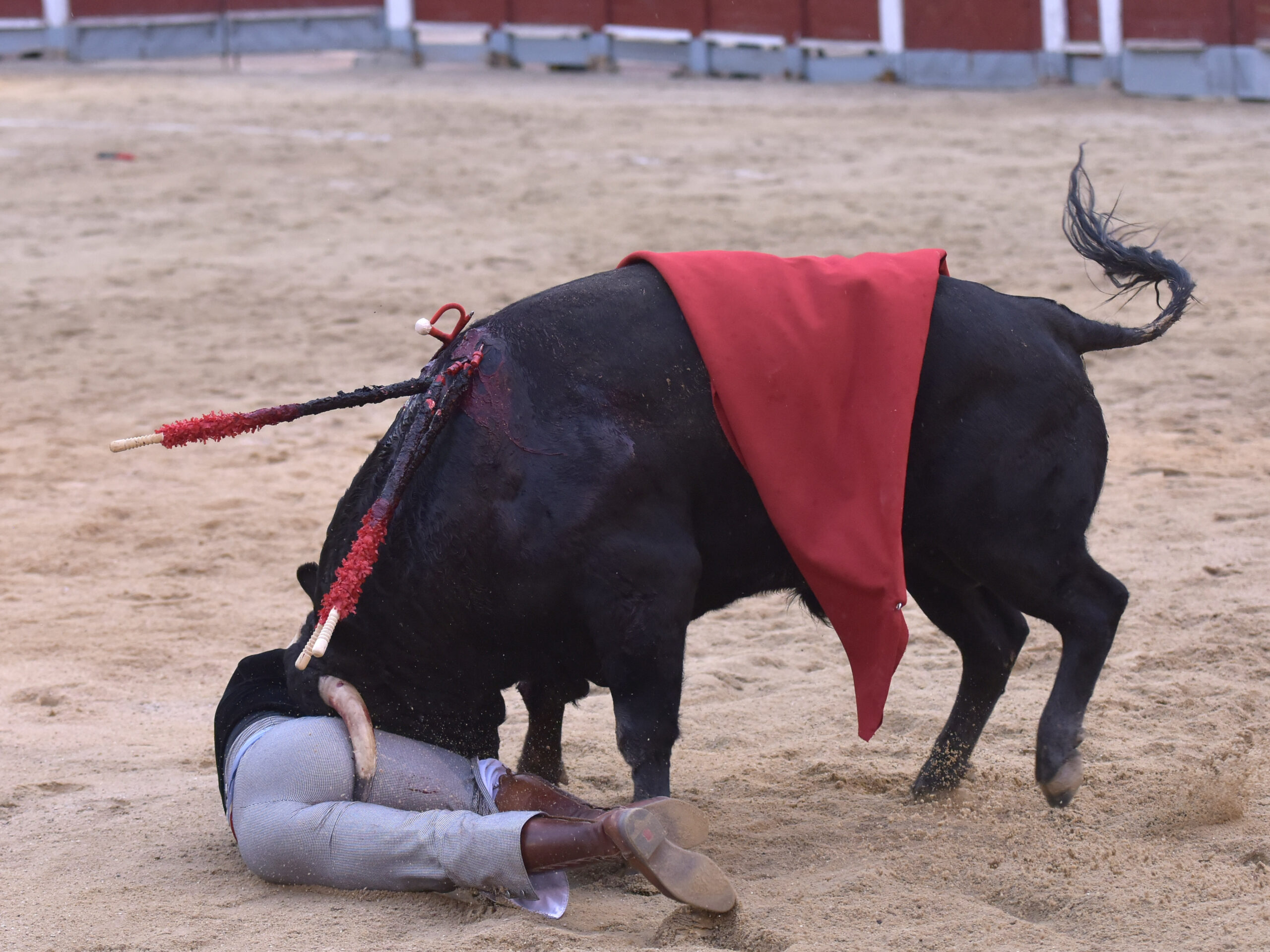 Chinchón (Madrid) - Festival - Sábado 20 de octubre de 2018