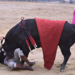 Chinchón (Madrid) - Festival - Sábado 20 de octubre de 2018