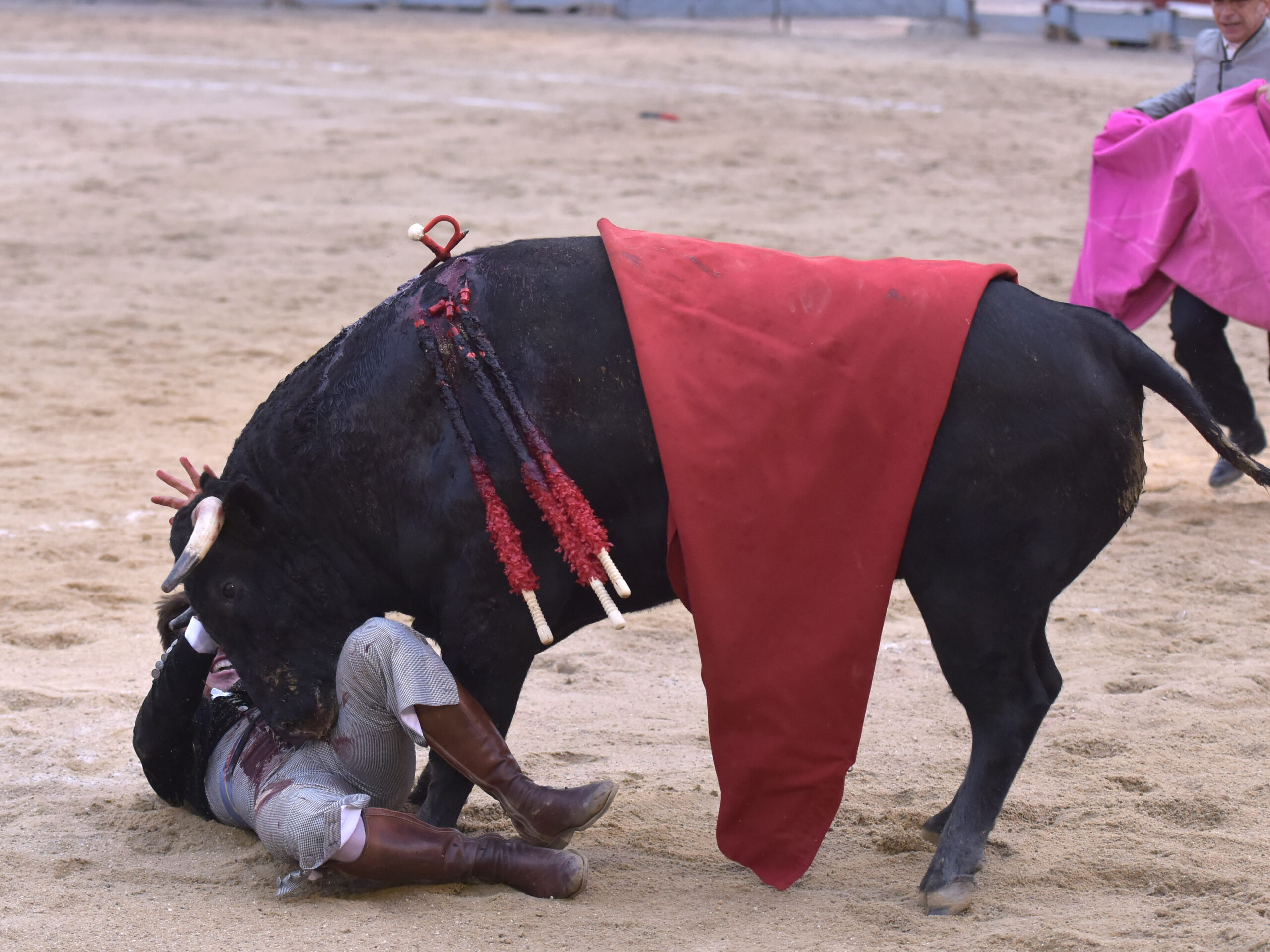 Chinchón (Madrid) - Festival - Sábado 20 de octubre de 2018