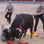 Chinchón (Madrid) - Festival - Sábado 20 de octubre de 2018