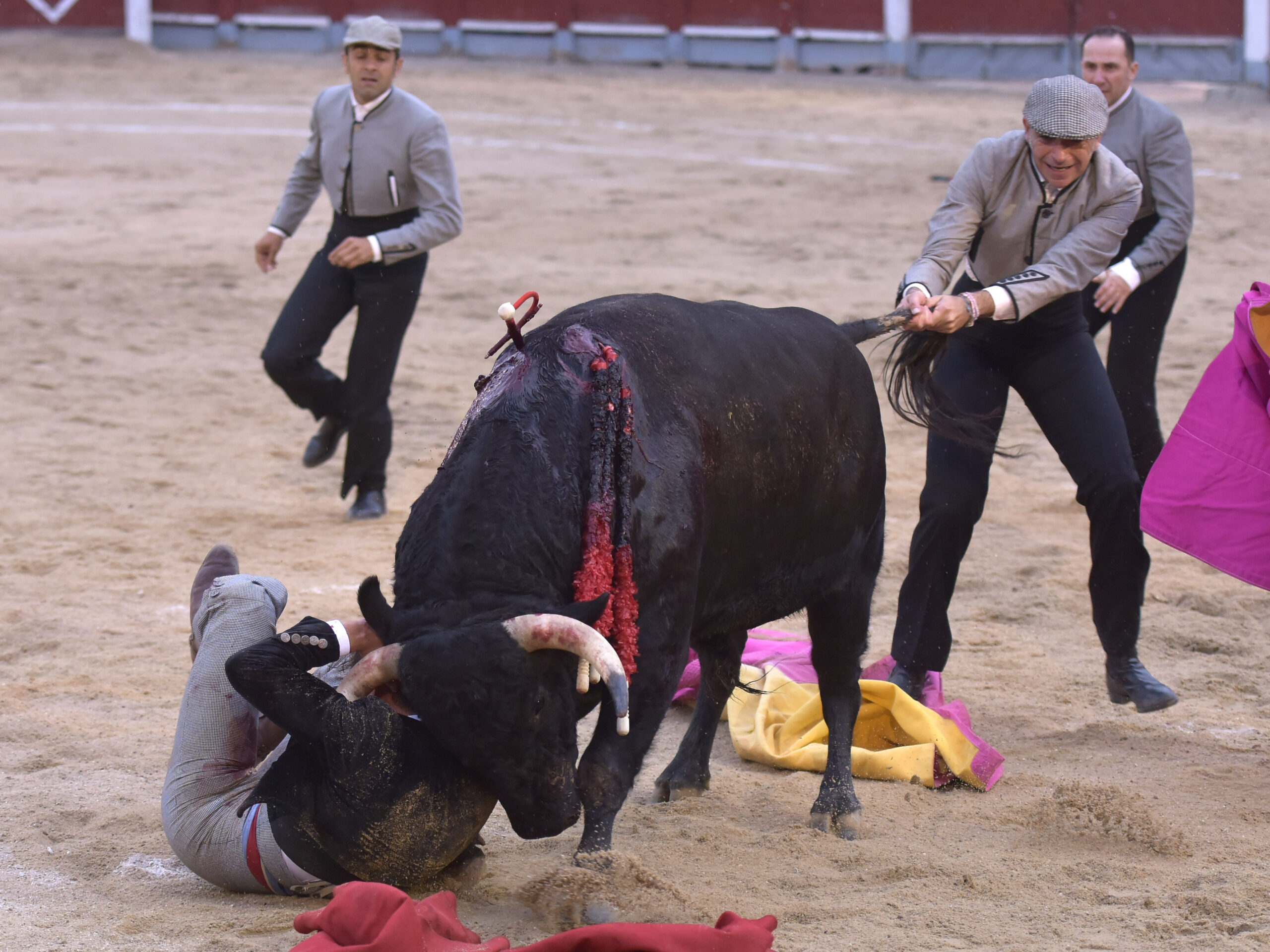 Chinchón (Madrid) - Festival - Sábado 20 de octubre de 2018
