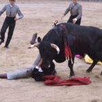 Chinchón (Madrid) - Festival - Sábado 20 de octubre de 2018