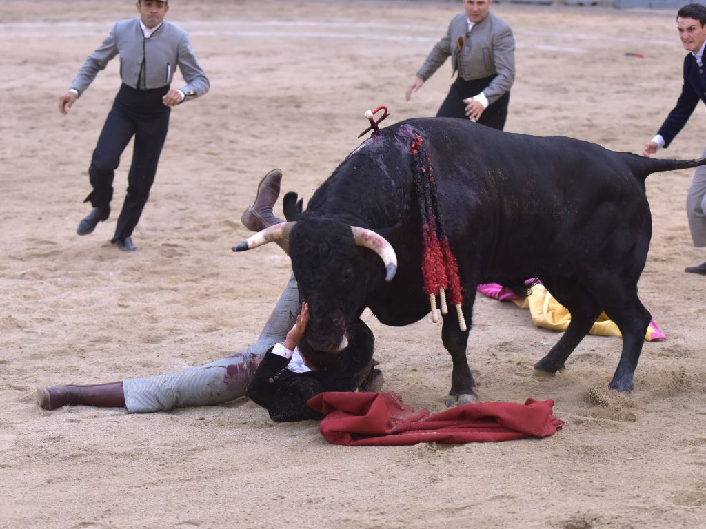 Chinchón (Madrid) - Festival - Sábado 20 de octubre de 2018