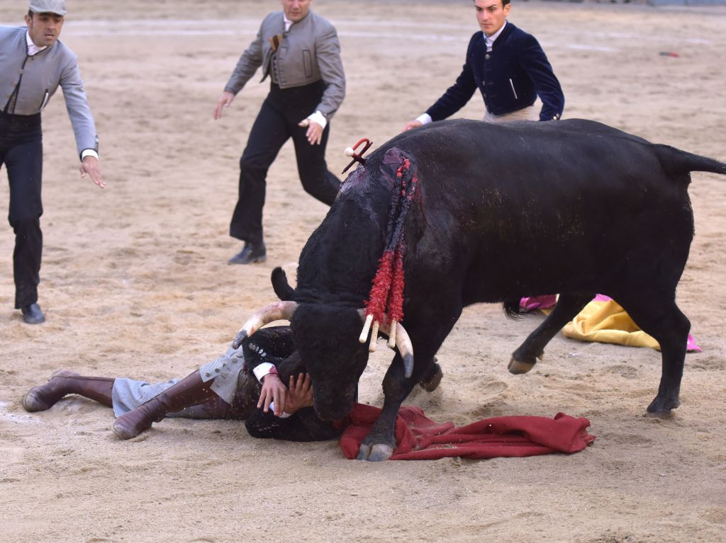 Chinchón (Madrid) - Festival - Sábado 20 de octubre de 2018