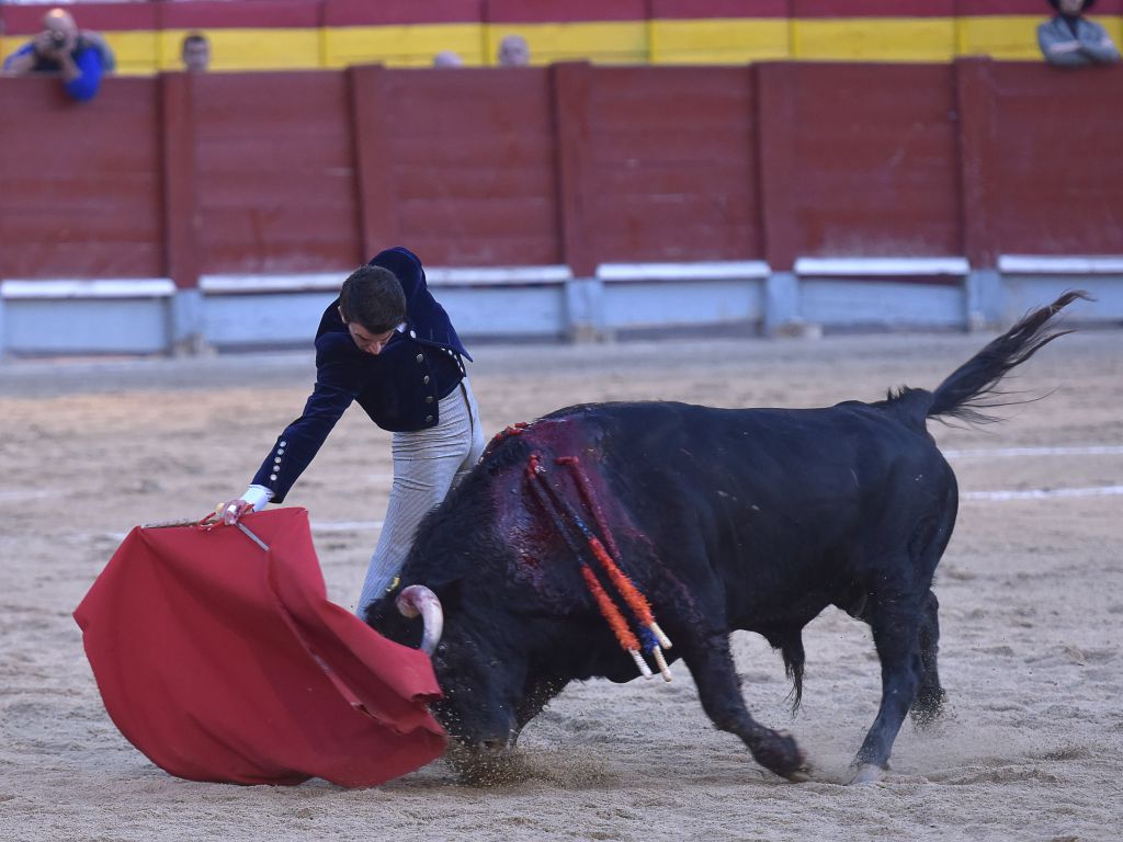 Chinchón (Madrid) - Festival - Sábado 20 de octubre de 2018