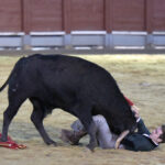 Chinchón (Madrid) - Festival - Sábado 20 de octubre de 2018