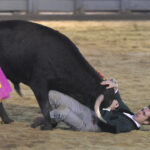 Chinchón (Madrid) - Festival - Sábado 20 de octubre de 2018