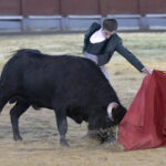 Chinchón (Madrid) - Festival - Sábado 20 de octubre de 2018